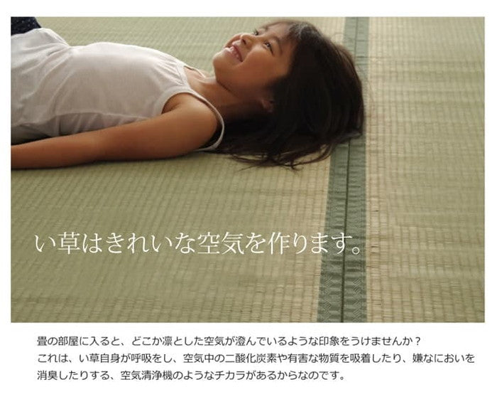 純国産 い草 上敷き カーペット 双目織 草津 江戸間3畳 約176×261cm ihk-1010020012302の画像