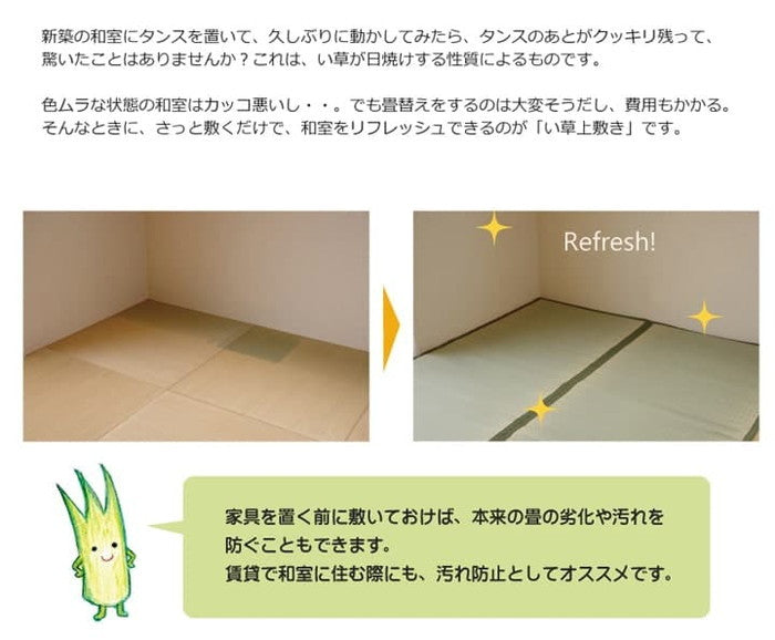 純国産 い草 上敷き カーペット 双目織 草津 江戸間8畳 約352×352cm ihk-1010020012802