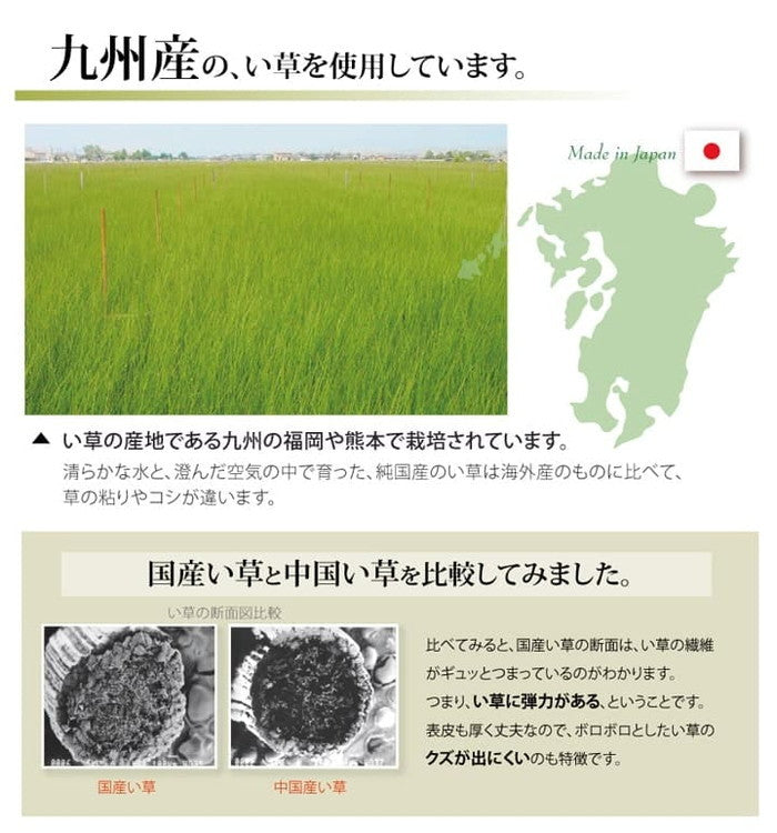 純国産 い草 上敷き カーペット 双目織 草津 江戸間8畳 約352×352cm ihk-1010020012802