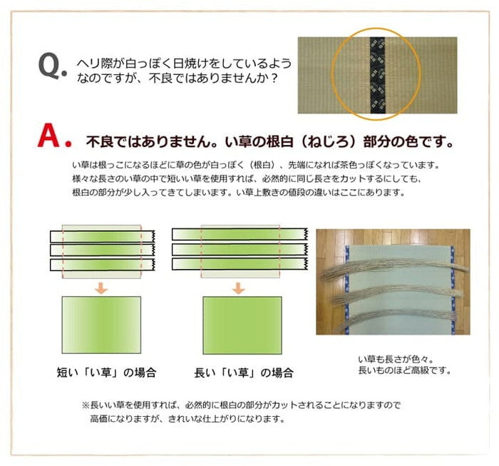 純国産 い草 上敷き カーペット 双目織 草津 本間2畳 約191×191cm ihk-1010020015202