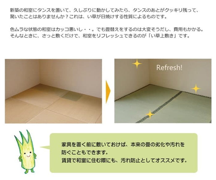 純国産 い草 上敷き カーペット 双目織 松 団地間8畳 約340×340cm ihk-1010030011802