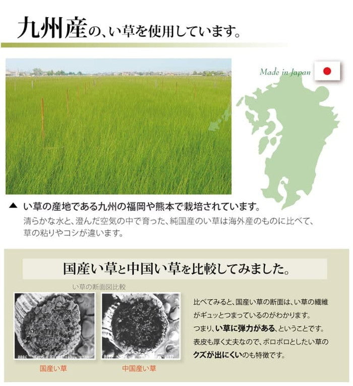 純国産 い草 上敷き カーペット 双目織 松 団地間8畳 約340×340cm ihk-1010030011802