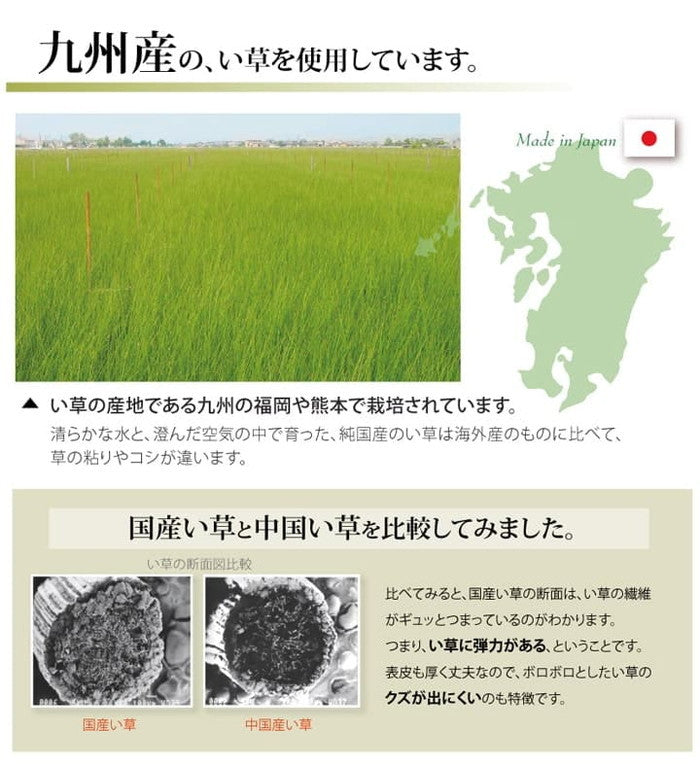 純国産 い草 上敷き カーペット 糸引織 湯沢 団地間8畳 約340×340cm ihk-1010050011802