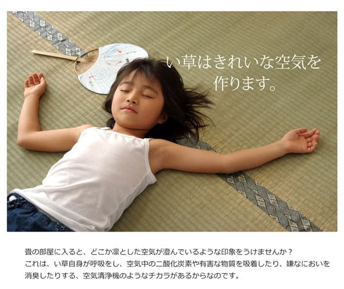 純国産 い草 上敷き カーペット 糸引織 湯沢 三六間6畳 約273×364cm ihk-1010050013602の画像