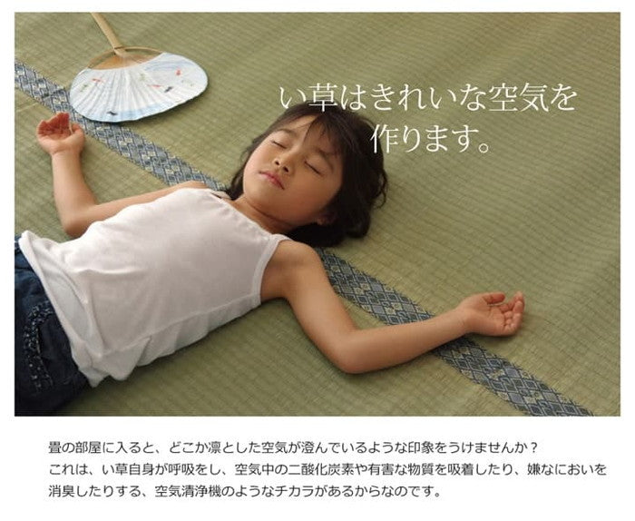 純国産 い草 上敷き カーペット 糸引織 柿田川 江戸間3畳 約176×261cm ihk-1010070012302の画像