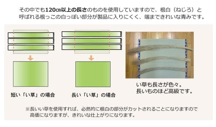 純国産 い草 上敷き カーペット 糸引織 梅花 江戸間3畳 約176×261cm ihk-1010080012302