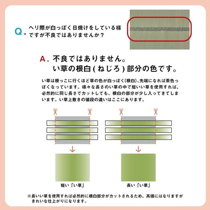 い草 上敷き カーペット 制菌 抗菌防臭 消臭 小林製薬KOBA-GUARD 江戸間8畳 約352×352cm ihk-1020170012802