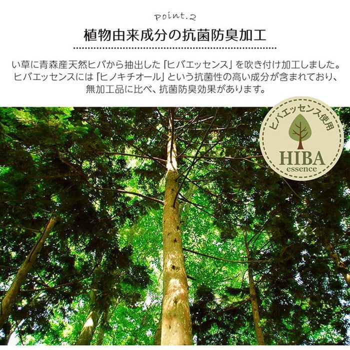 い草ラグ 裏ばり 花ござ カーペット ラグ 3畳 ギャッベ ギャベ 柄 抗菌防臭 消臭 江戸間3畳 約174×261cm 裏:不織布 グリーン レッド ihk-1030290120302の画像