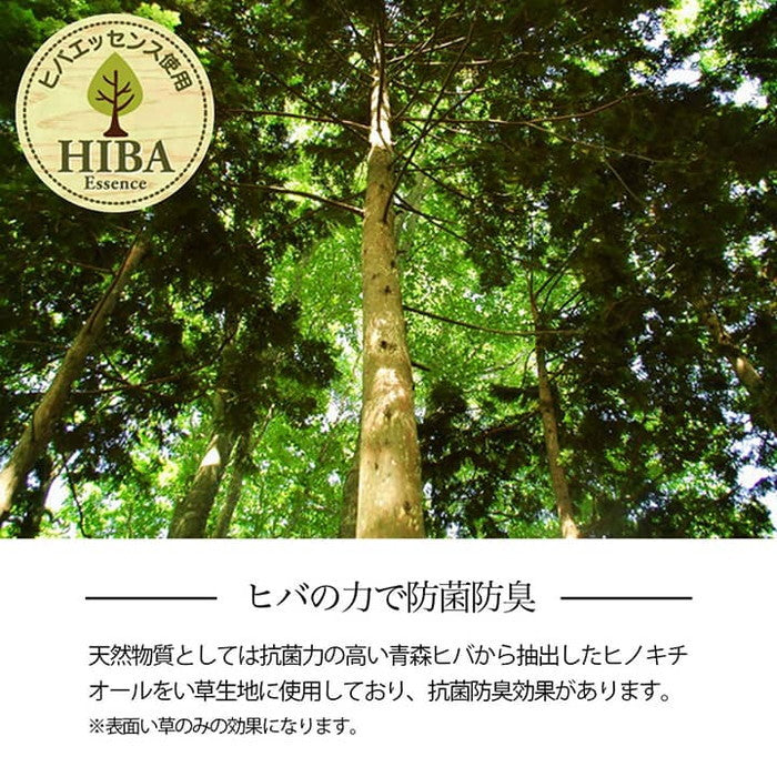 い草ラグ 花ござ カーペット 格子柄 ナチュラル シンプル 和室 洋室 裏不織布滑り止め 滑りにくい 抗菌防臭 消臭 お手入れ簡単 夏快適さらさら 江戸間3畳 約174×261cm レイクブルー ブラウン ihk-1031290040302の画像