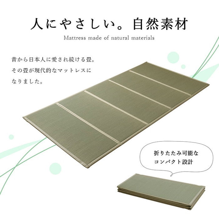 い草 ユニット 畳 軽量 抗菌防臭 消臭 防音 断熱性 お手入れ 簡単 楽 収納 便利 約100×200cm ihk-1040130011014の画像