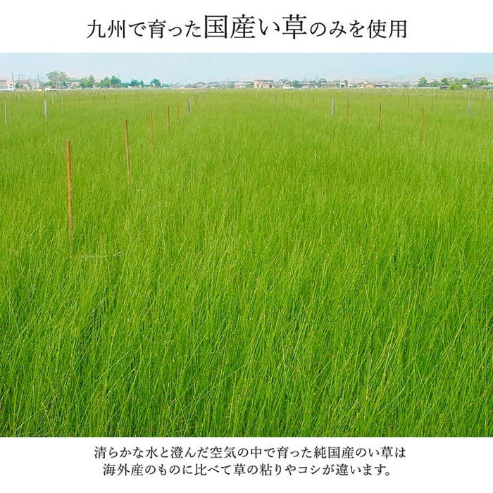 ラグ い草 国産 純国産 日本製 モダン 抗菌防臭 自然素材 パッチワーク 約191×300cm ベージュ ブルー ブラウン ihk-1050110024105