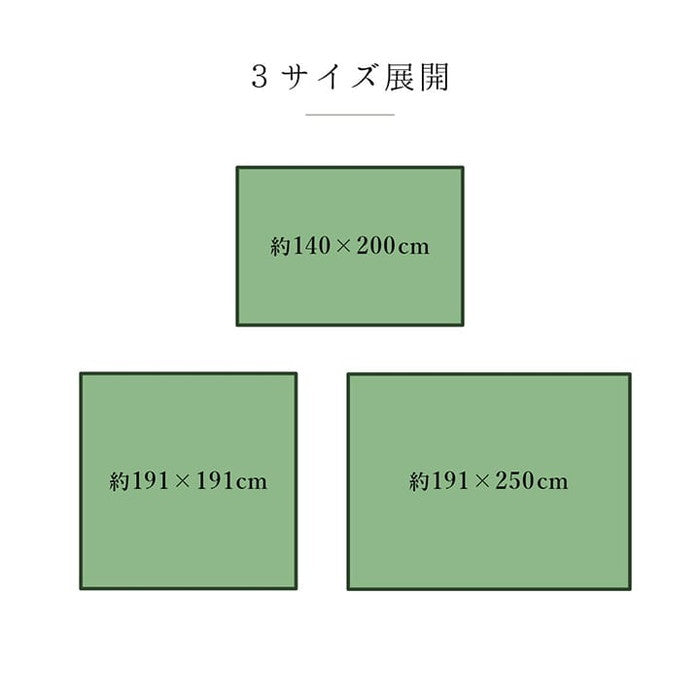 ラグ 純国産 国産 日本製 い草 抗菌防臭 自然素材 モダン DXカラフルブロック 約191×191cm ブルー グリーン グレー ihk-1050140043604