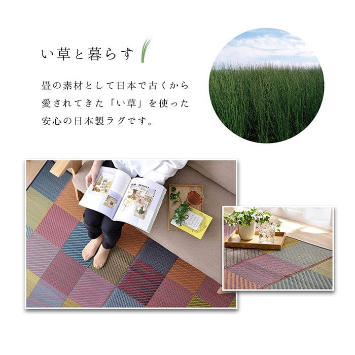 ラグ 純国産 国産 日本製 い草 抗菌防臭 自然素材 モダン DXカラフルブロック 約191×250cm ブルー グリーン グレー ihk-1050140043904の画像