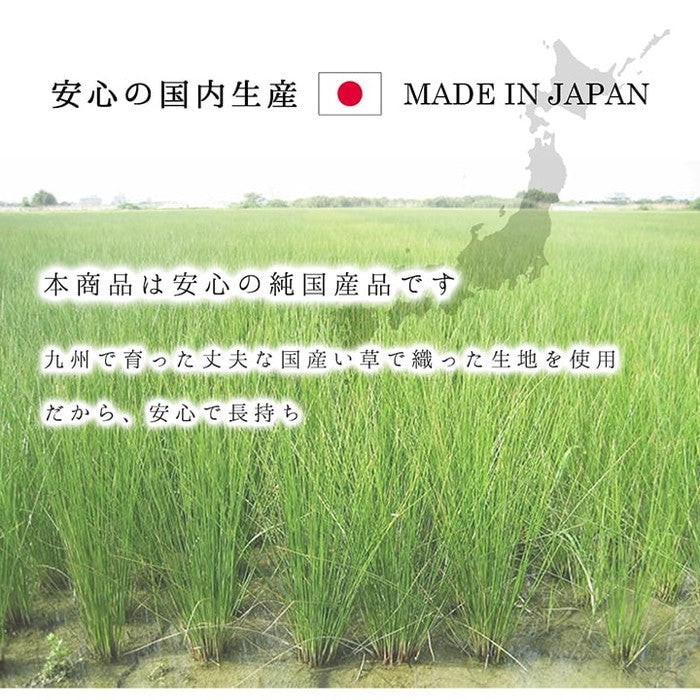 ラグ 純国産 国産 日本製 い草 抗菌防臭 自然素材 モダン DXカラフルブロック 約191×250cm ブルー グリーン グレー ihk-1050140043904の画像