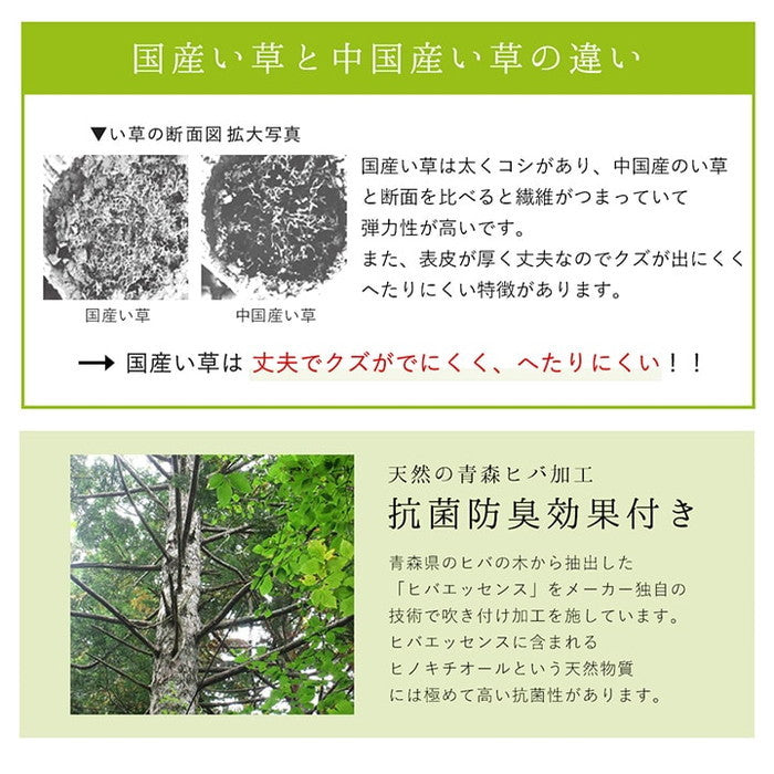 ラグ 純国産 国産 日本製 い草 抗菌防臭 自然素材 モダン DXカラフルブロック 約191×250cm ブルー グリーン グレー ihk-1050140043904の画像