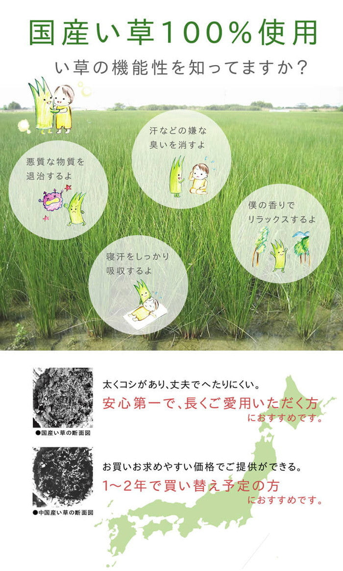 ラグ 国産 い草 カーペット ふっくら ボリューム F市松和紋 約191×191cm ブルー グリーン ihk-1050480043604の画像