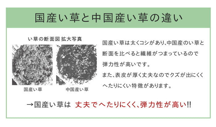 い草ラグ おしゃれ 国産 カーペット Fレパード 約140×200cｍ ブルー グレー ihk-1050500042303