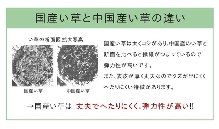 い草ラグ おしゃれ 国産 カーペット Fウォール  約140×200cｍ ihk-1050610012303