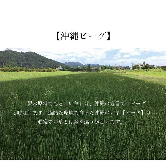 ラグ マット 長方形 い草 夏用 沖縄ビーグ 191×250cm カーキ ihk-1050681313904の画像