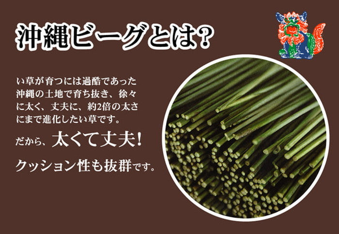 純国産 沖縄ビーグの寝ござ ざわわ ダブル 約128×200cm ※枚つなぎ ihk-1050750011703