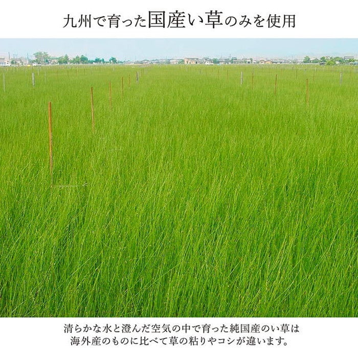 ラグ マット 国産 純国産 日本製 い草 モダン 抗菌防臭 自然素材 約95×150cm ベージュ ネイビー ワイン ihk-1050790021202