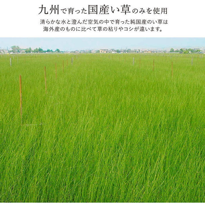 ラグ い草 国産 純国産 日本製 シンプル 無地風 抗菌防臭 自然素材 ウレタン 約140×200cm ダークブラウン グリーン グレー ライトブラウン ihk-1050890072303