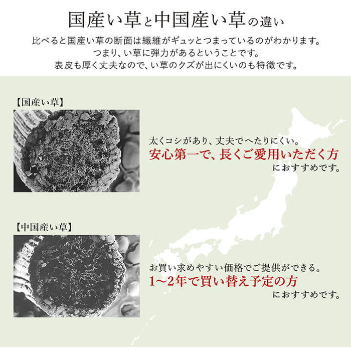 ラグ い草 国産 純国産 日本製 シンプル 無地風 抗菌防臭 自然素材 ウレタン 約191×191cm ダークブラウン グリーン グレー ライトブラウン ihk-1050890073604