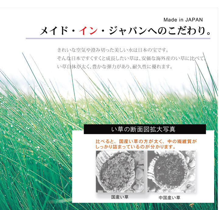 い草ラグ おしゃれ 国産 カーペット シンプル ブラウン 約191×250cm ブラウン ネイビー ihk-1051180063904の画像