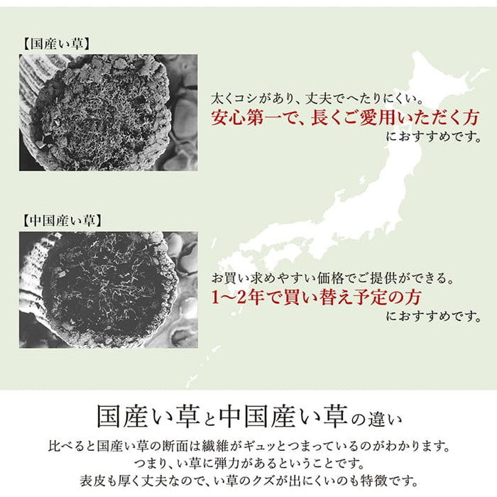 ラグ い草 モダン 純国産 国産 日本製 ウレタン 抗菌防臭 自然素材 ナチュラル 約191×191cm ブラック ナチュラル ihk-1051480033604