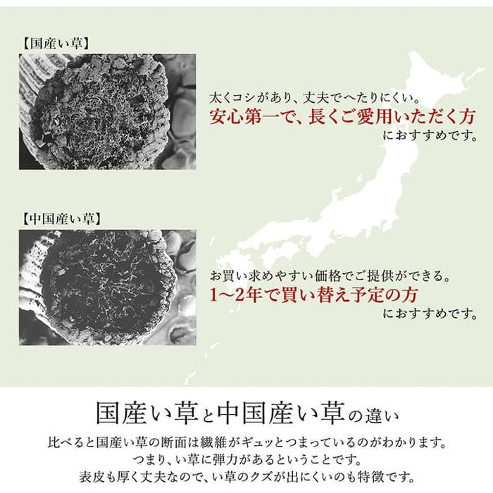 ラグ い草 モダン 純国産 国産 日本製 ウレタン 抗菌防臭 自然素材 ナチュラル 約191×191cm ナチュラル ネイビー ihk-1051490183604