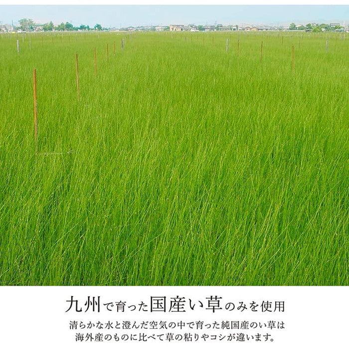 ラグ い草 ヴィンテージ 純国産 国産 日本製 ウレタン 抗菌防臭 自然素材 約191×191cm グリーン グレー ihk-1051500123604の画像