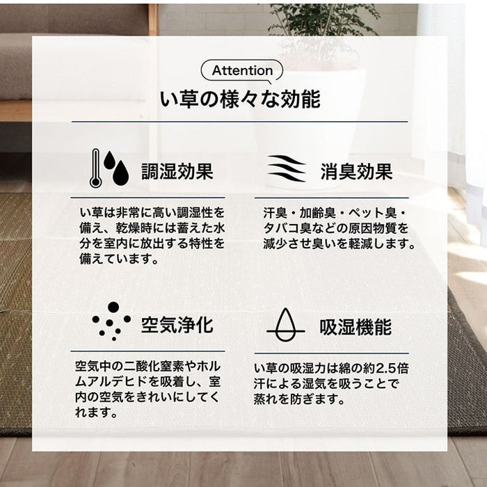 ラグ マット 小林製薬 持続性抗菌剤 KOBA-GUARD 制菌 抗菌防臭 滑り止め 不織布 夏 い草 グラデーション 約60×180cm ブルー ブラウン グリーン オレンジ ihk-1060470041206の画像