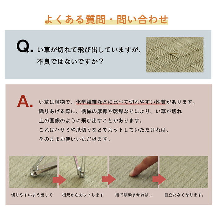 ラグ い草 金魚 和 風物詩 コンパクト 滑り止め不織布 自然素材 抗菌防臭 約180×180cm ihk-1060530013404