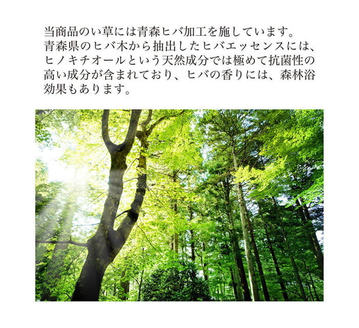 堀こたつ 掘りごたつ 堀り 炬燵 い草 ラグ 敷 市松 くり抜き 付属 マジックテープ 連結 裏 不織布 約191×250cm 中抜き: 約90×120cm ベージュ ブルー ihk-1060960024303