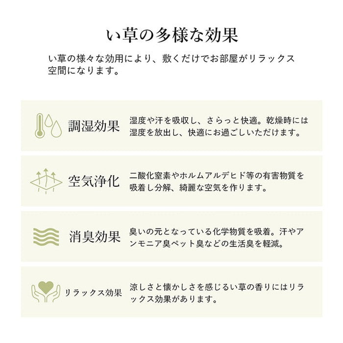 ラグ 正方形 い草 自然素材 シンプル ボーダー 裏面すべり止め付き 滑りにくい 抗菌防臭 約2畳 約180×180cm ブルー グリーン グレー ihk-1070010042911