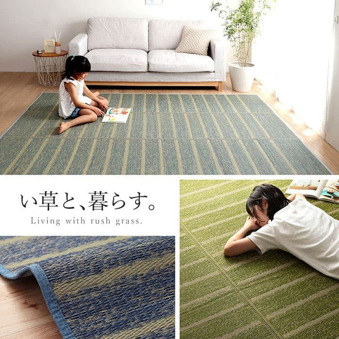 ラグ 長方形 い草 自然素材 シンプル ボーダー 裏面すべり止め付き 滑りにくい 抗菌防臭 約6畳 約240×320cm ブルー グリーン グレー ihk-1070010045811の画像