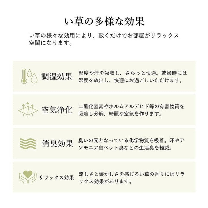 ラグ 長方形 い草 自然素材 シンプル ボーダー 裏面すべり止め付き 滑りにくい 抗菌防臭 約6畳 約240×320cm ブルー グリーン グレー ihk-1070010045811の画像