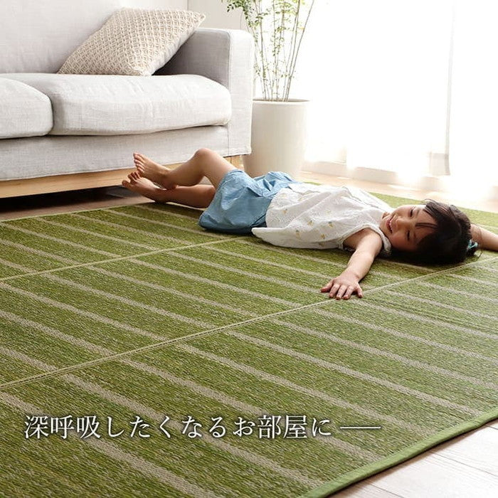 ラグ 長方形 い草 自然素材 シンプル ボーダー 裏面すべり止め付き 滑りにくい 抗菌防臭 約6畳 約240×320cm ブルー グリーン グレー ihk-1070010045811の画像