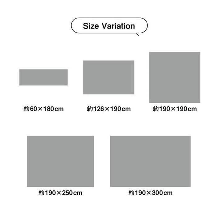 ラグ 小林製薬 持続性抗菌剤 KOBA-GUARD 制菌 抗菌防臭 滑り止め ウレタン 不織布 夏 い草 グラデーション 約190×250cm ブルー ブラウン グリーン オレンジ ihk-1070480044203の画像