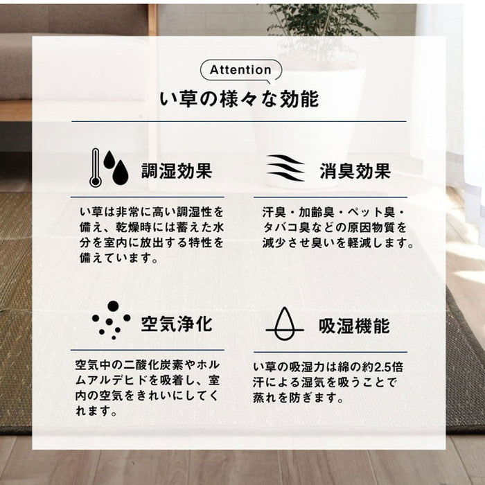 ラグ 小林製薬 持続性抗菌剤 KOBA-GUARD 制菌 抗菌防臭 滑り止め ウレタン 不織布 夏 い草 グラデーション 約190×250cm ブルー ブラウン グリーン オレンジ ihk-1070480044203の画像