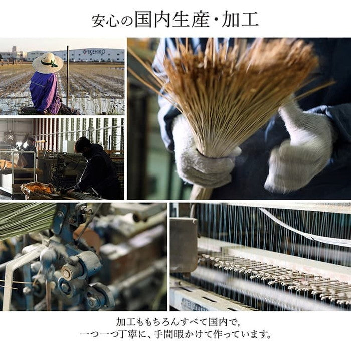 敷物 花ござ 国産 純国産 日本製 い草 モダン 抗菌防臭 自然素材 江戸間6畳 約261×352cm ベージュ ネイビー ワイン ihk-1080010020602の画像