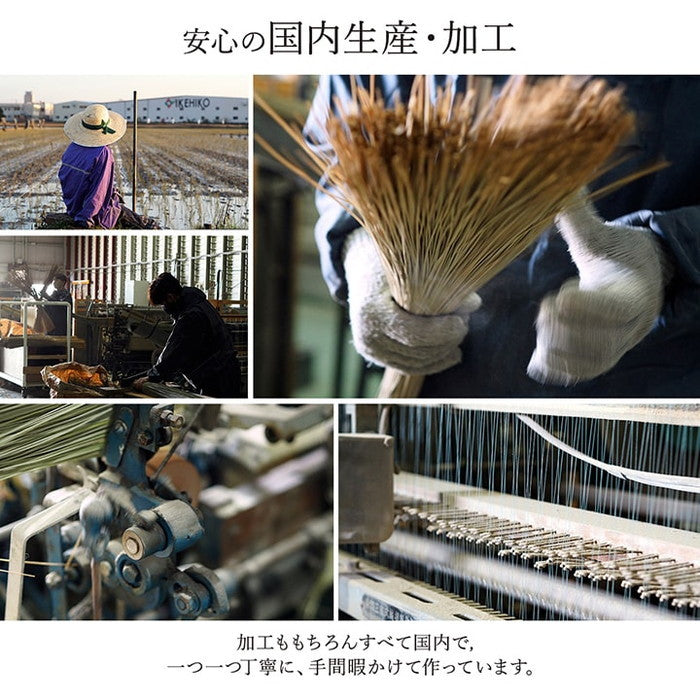 敷物 花ござ 国産 純国産 日本製 い草 モダン 抗菌防臭 自然素材 パッチワーク 本間1畳 約95.5×191cm ベージュ ブルー ブラウン ihk-1080040020902の画像