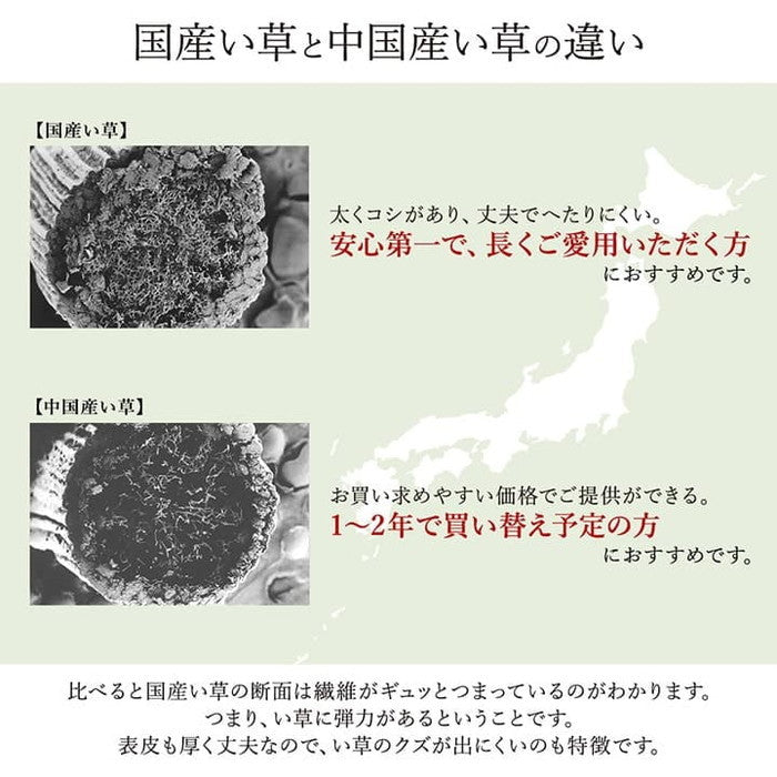 敷物 花ござ 国産 純国産 日本製 い草 モダン 抗菌防臭 自然素材 パッチワーク 不織布 江戸間3畳 約174×261cm ベージュ ブルー ブラウン ihk-1080050020302の画像