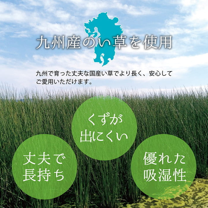 上敷き ゴザ 敷詰 カーペット い草 自然素材 日本製 国産 消臭 抗菌防臭 麻の葉 レトロ 和 江戸間8畳 約348×352cm ベージュ ihk-1080080020702