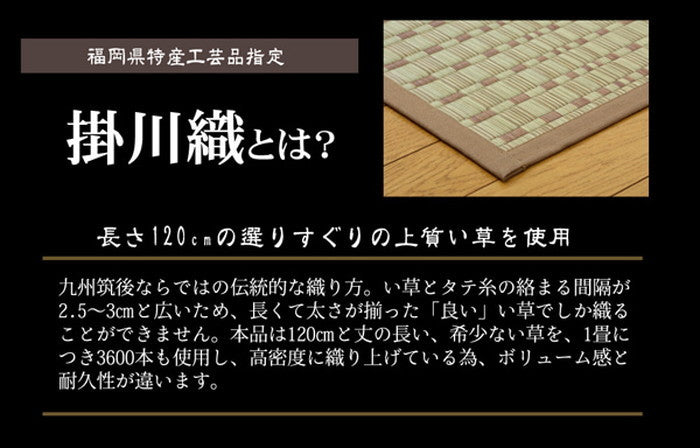 純国産 掛川織 い草カーペット 奥丹後 江戸間8畳 約348×352cm ベージュ ihk-1080110020702