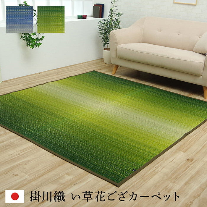 敷物 花ござ 国産 純国産 日本製 い草 掛川織 モダン 抗菌防臭 自然素材 江戸間1畳 約87×174cm 海 草原 ihk-1080330040102の画像