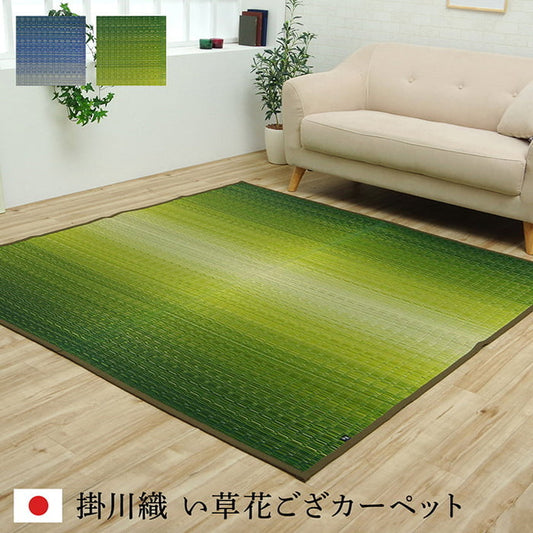 敷物 花ござ 国産 純国産 日本製 い草 掛川織 モダン 抗菌防臭 自然素材 江戸間1畳 約87×174cm 海 草原 ihk-1080330040102の画像