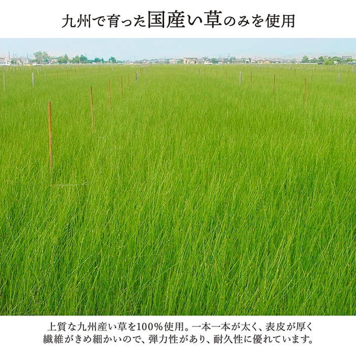 敷物 花ござ 国産 純国産 日本製 い草 掛川織 モダン 抗菌防臭 自然素材 江戸間1畳 約87×174cm 海 草原 ihk-1080330040102の画像