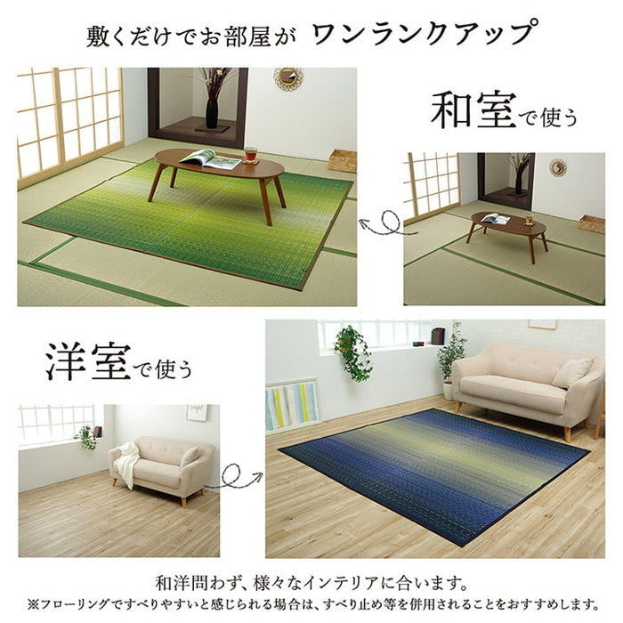 敷物 花ござ 国産 純国産 日本製 い草 掛川織 モダン 抗菌防臭 自然素材 江戸間1畳 約87×174cm 海 草原 ihk-1080330040102の画像