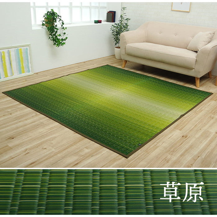 敷物 花ござ 国産 純国産 日本製 い草 掛川織 モダン 抗菌防臭 自然素材 江戸間1畳 約87×174cm 海 草原 ihk-1080330040102の画像